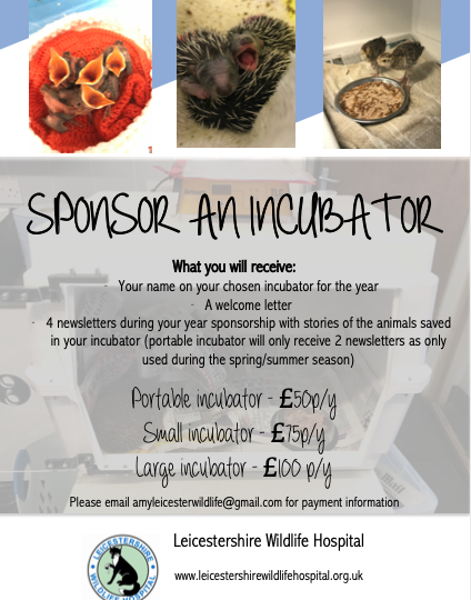 Incubator Sponsorship