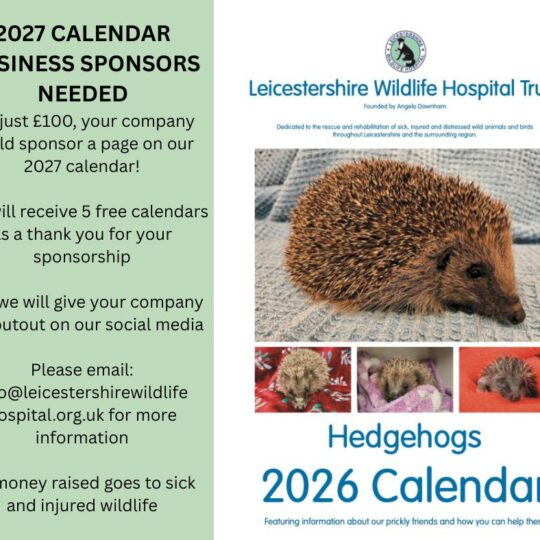 2027 Calendar Sponsorship