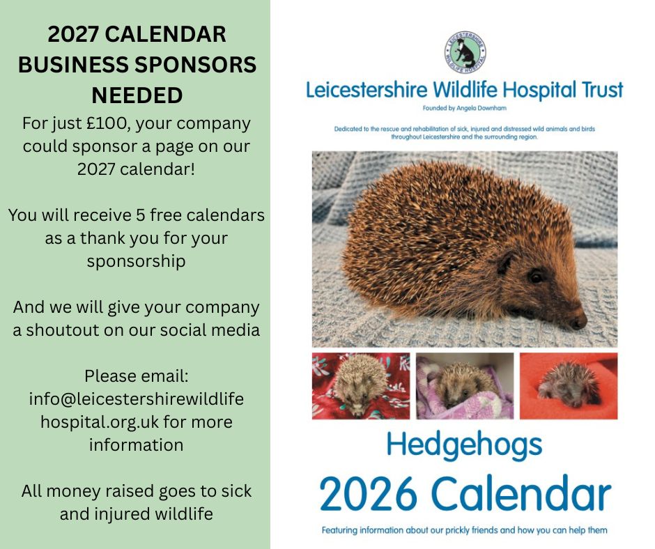 2027 Calendar Sponsors