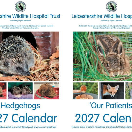 2027 Calendar PREORDER