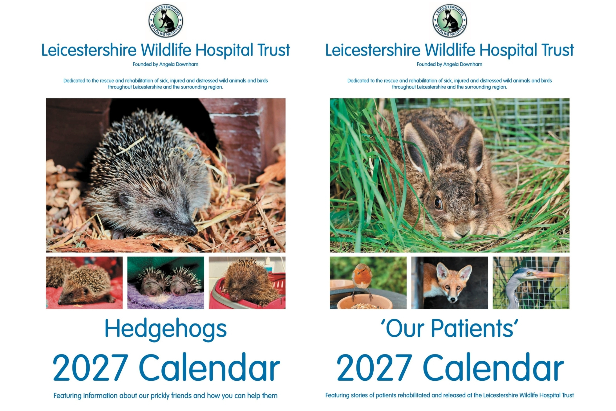 2027 Calendar Preorders