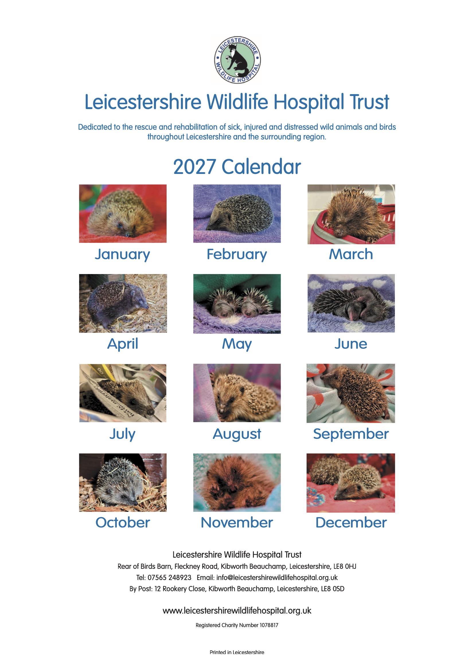 LWH 2027 Hedgehogs Back page