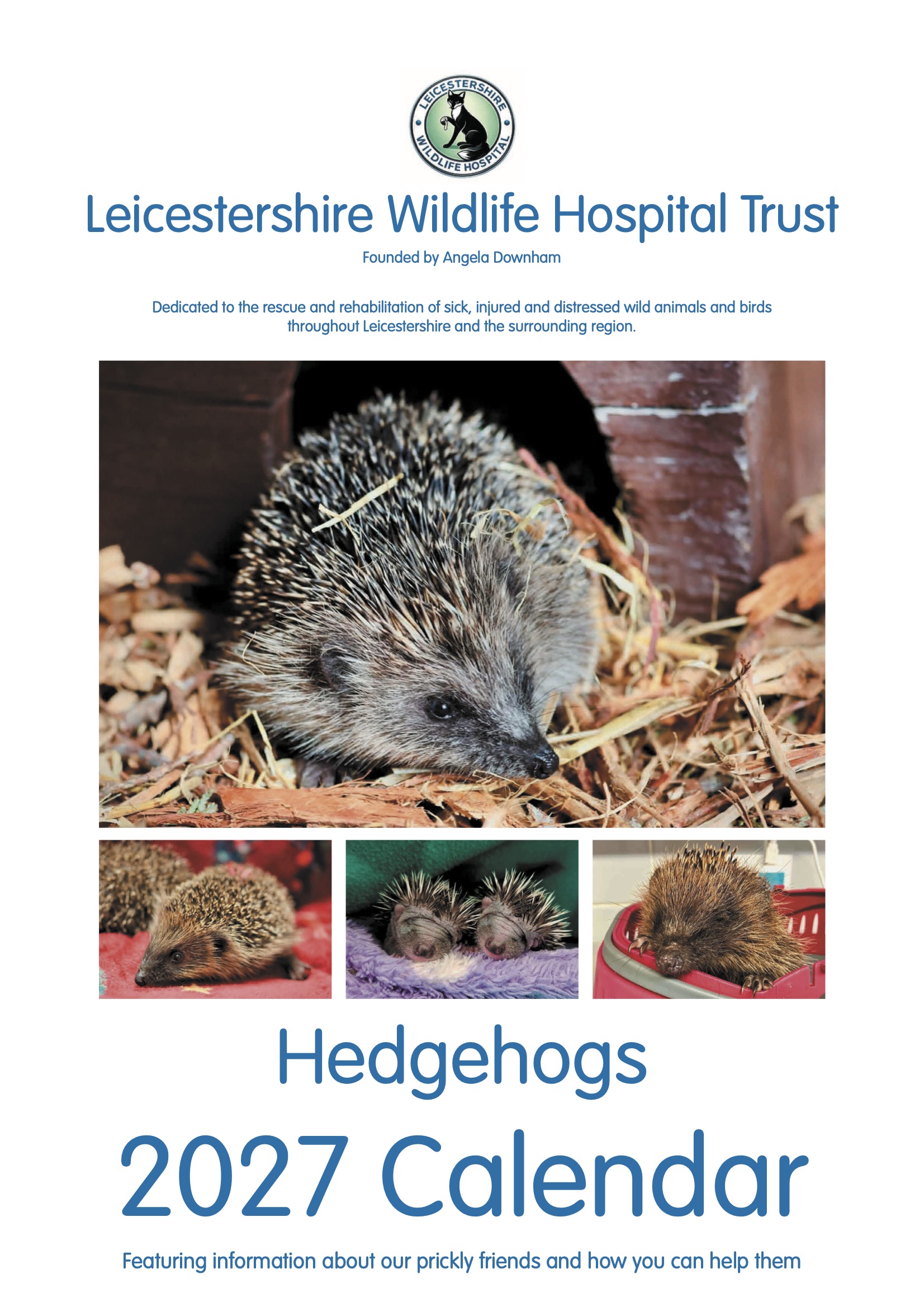 LWH 2027 Hedgehogs Front page